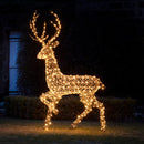 Conjunto de 8 renas iluminadas Studley Rattan